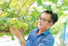 Vườn nho mẫu đơn ở Cần Thơ